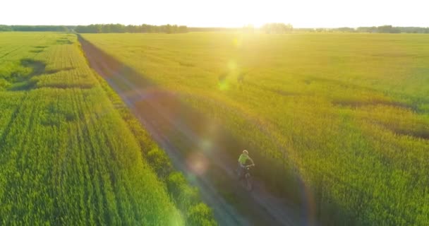 Εναέρια άποψη για το νεαρό αγόρι, που οδηγεί ένα ποδήλατο μέσα από ένα χωράφι με σιτάρι γρασίδι στον παλιό αγροτικό δρόμο. Ηλιακό φως και ακτίνες. — Αρχείο Βίντεο