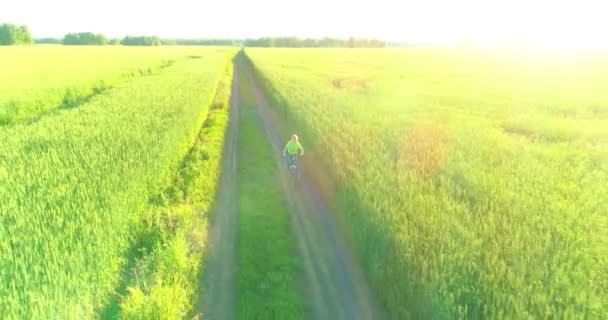 Vista aérea sobre o menino, que monta uma bicicleta através de um campo de grama de trigo na antiga estrada rural. Luz solar e vigas. — Vídeo de Stock