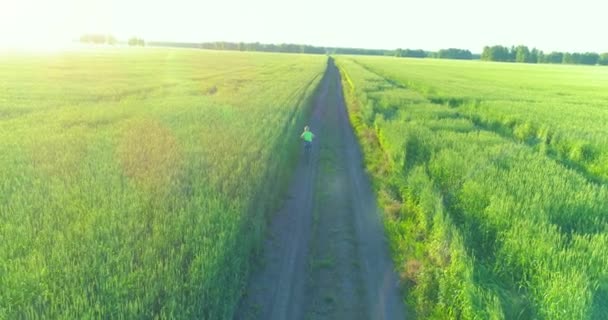 Vista aérea sobre el niño, que monta en bicicleta a través de un campo de hierba de trigo en el viejo camino rural. Luz solar y rayos. — Vídeos de Stock