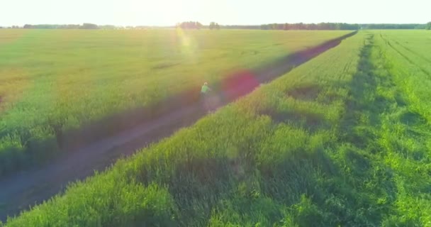 Vista aérea sobre o menino, que monta uma bicicleta através de um campo de grama de trigo na antiga estrada rural. Luz solar e vigas. — Vídeo de Stock