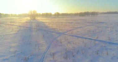 Arktik çayırlı soğuk kış manzarası, karla kaplı ağaçlar ve ufukta sabah güneşleri..