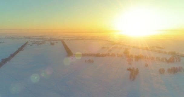 Veduta aerea drone del freddo paesaggio invernale con campo artico, alberi coperti di neve gelo e raggi del sole del mattino all'orizzonte. — Video Stock