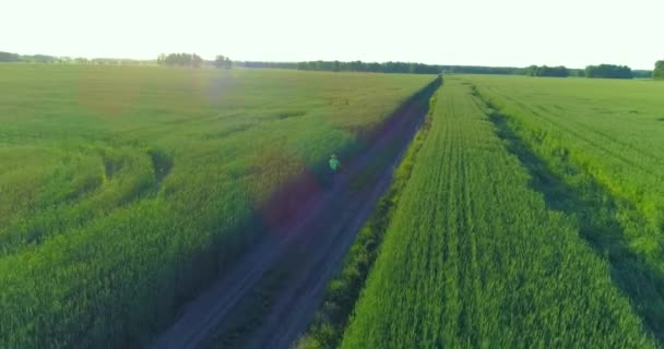 Vista aérea sobre el niño, que monta en bicicleta a través de un campo de hierba de trigo en el viejo camino rural. Luz solar y rayos. — Vídeos de Stock