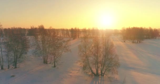 Vista aérea de drones del frío paisaje invernal con campo ártico, árboles cubiertos de nieve helada y rayos de sol matutinos sobre el horizonte. — Vídeo de stock