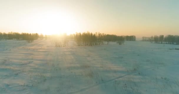 Воздушный беспилотник с видом на холодный зимний пейзаж с арктическим полем, деревья, покрытые морозным снегом и утренние солнечные лучи над горизонтом. — стоковое видео