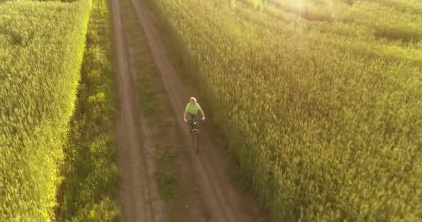 Vista aérea sobre el niño, que monta en bicicleta a través de un campo de hierba de trigo en el viejo camino rural. Luz solar y rayos. — Vídeo de stock