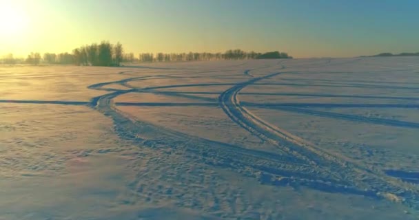 Vista aérea de drones del frío paisaje invernal con campo ártico, árboles cubiertos de nieve helada y rayos de sol matutinos sobre el horizonte. — Vídeos de Stock