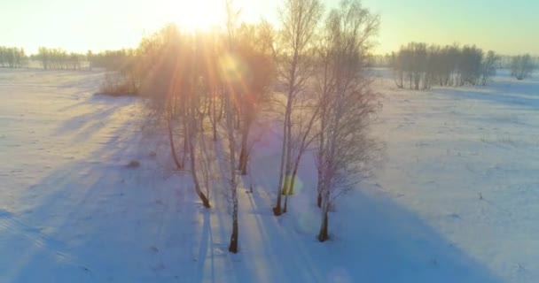 Aerial drone kilátás hideg téli táj sarkvidéki területen, fák borított fagy hó és reggeli napsugarak horizonton. — Stock videók