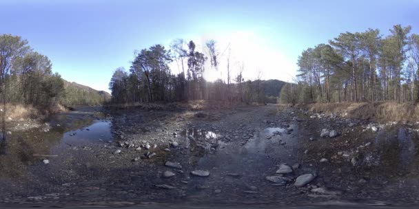360 VR réalité virtuelle d'une montagne sauvage, pinède et rivière coule. Parc national, prairie et rayons du soleil.