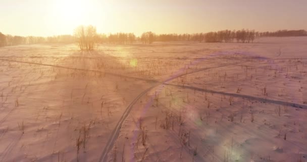 Veduta aerea drone del freddo paesaggio invernale con campo artico, alberi coperti di neve gelo e raggi del sole del mattino all'orizzonte. — Video Stock