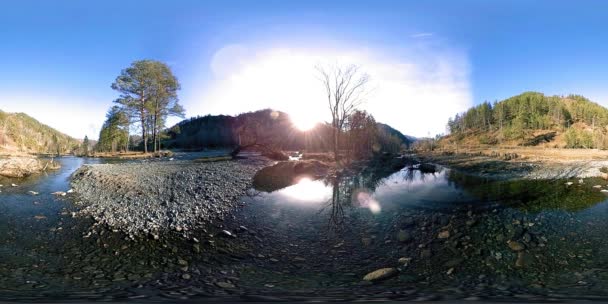 Vahşi dağların, çam ormanlarının ve nehir akışlarının 360 VR sanal gerçekliği. Ulusal park, çayır ve güneş ışınları. — Stok video