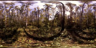 Bir şehir parkının UHD 4K 360 VR Sanal Gerçekliği. Sonbaharda ya da yaz gününde ağaçlar ve yeşil çimenler