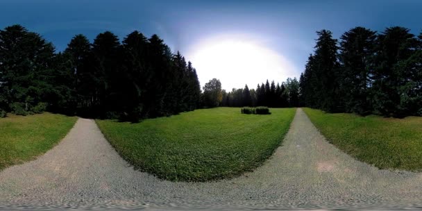UHD 4K 360 VR Virtual Reality eines Erholungsgebietes im Stadtpark. Bäume und grünes Gras am Herbst- oder Sommertag — Stockvideo