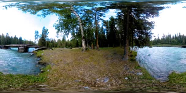 360 VR realidade virtual de uma floresta selvagem. Floresta de pinheiro, pequeno e rápido rio de montanha frio. Parque nacional. — Vídeo de Stock