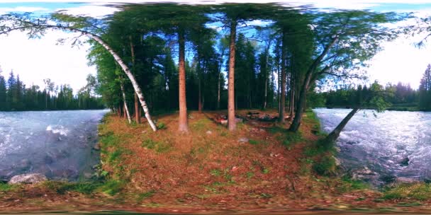 360 VR虚拟现实的野生森林。松树林，小而快，山河冰冷。国家公园. — 图库视频影像