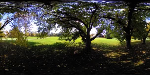 UHD 4K 360 VR Realtà Virtuale di un'area ricreativa del parco cittadino. Alberi ed erba verde al giorno d'autunno o d'estate — Video Stock