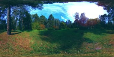 Bir şehir parkının UHD 4K 360 VR Sanal Gerçekliği. Sonbaharda ya da yaz gününde ağaçlar ve yeşil çimenler