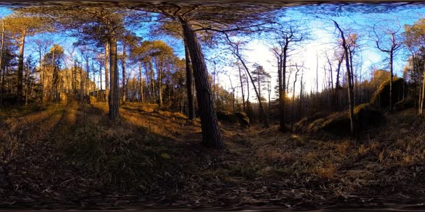 4K 360 VR virtual Reality of a beautiful mountain scene at the autumn time. Wild Siberian mountains. — Stock Video