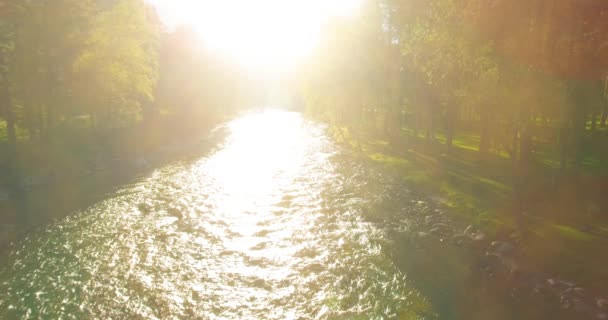 Vol à basse altitude au-dessus d'une rivière de montagne fraîche et rapide avec des rochers au soleil matin d'été. — Video