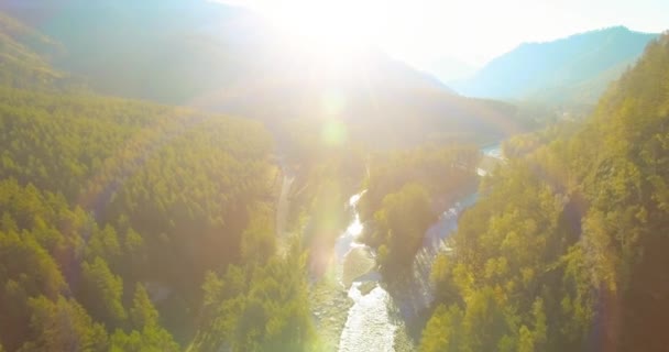 Low altitude flight over fresh fast mountain river with rocks at sunny summer morning. — Stock Video