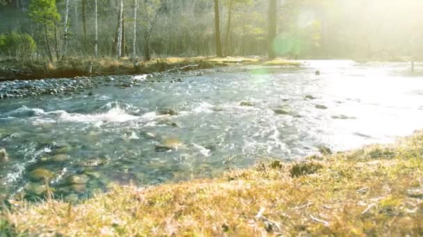 森の近くの山の川で水しぶきのドリースライダーショット。ぬれた岩や太陽の光線。水平安定運動. — ストック動画