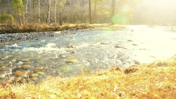 Dolly suwak strzał z rozbryzgu wody w górskiej rzece w pobliżu lasu. Mokre skały i promienie słoneczne. Stały ruch w poziomie. — Wideo stockowe