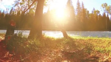 Dağ nehri kıyısındaki çayır. Yeşil çimlerle, çam ağaçlarıyla ve güneş ışınlarıyla kaplı bir manzara. Motorlu kaydırma kulesinde hareket.