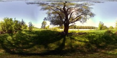 UHD 4K 360 VR Bir nehrin Sanal Gerçekliği güzel dağ ormanlarında kayaların üzerinden akıyor