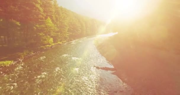 晴れた夏の朝に新鮮できれいな山川の半ばの空気飛行 — ストック動画