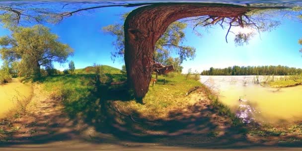 UHD 4K 360 VR Virtuelle Realität eines Flusses fließt über Felsen in wunderschöner Berglandschaft — Stockvideo