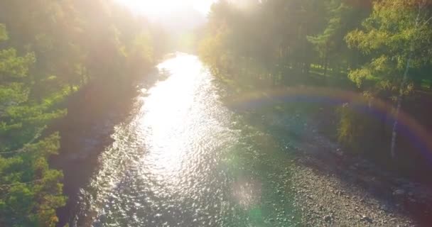 Volo a bassa quota sul fresco fiume di montagna veloce con rocce al soleggiato mattino d'estate. — Video Stock