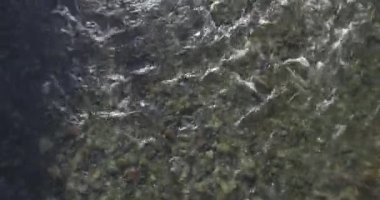 Güneşli yaz sabahında kayalarla birlikte taze, hızlı dağ nehri üzerinde alçak irtifa uçuşu..