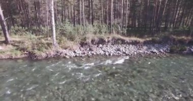 Güneşli yaz sabahında kayalarla birlikte taze, hızlı dağ nehri üzerinde alçak irtifa uçuşu..