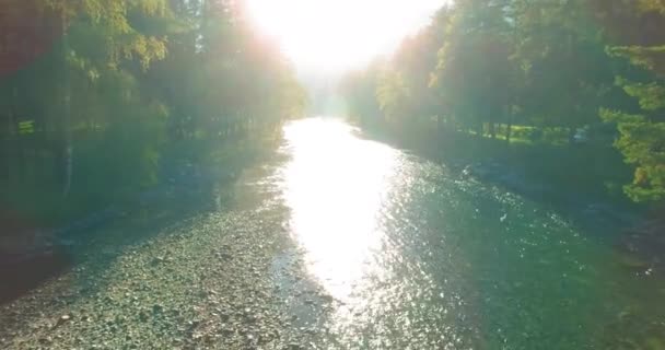 Penerbangan ketinggian rendah di atas sungai pegunungan yang segar dan cepat dengan batu di pagi musim panas yang cerah. — Stok Video