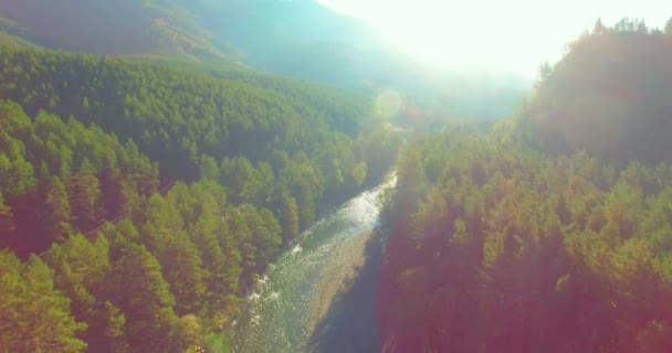 Laaggelegen vlucht over verse snelle bergrivier met rotsen op zonnige zomerochtend. — Stockvideo