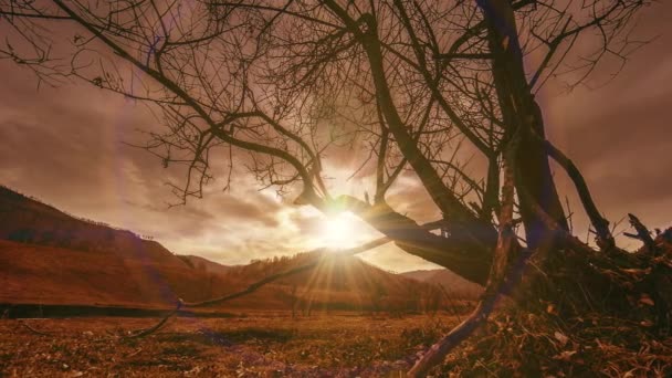 Lapso de tempo da árvore da morte e grama amarela seca na paisagem montanhosa com nuvens e raios de sol. Movimento deslizante horizontal — Vídeo de Stock