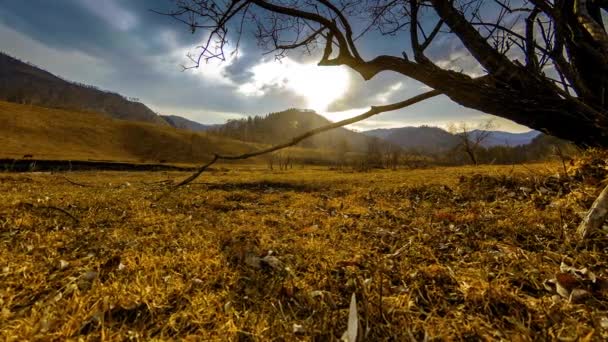 Time lapse di albero della morte e erba gialla secca a paesaggio montano con nuvole e raggi di sole. Movimento cursore orizzontale — Video Stock