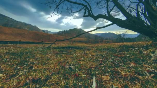 Time lapse of death tree and dry yellow grass at mountian landscape με σύννεφα και ακτίνες του ήλιου. Οριζόντια κίνηση κύλισης — Αρχείο Βίντεο