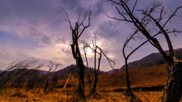 Lapso de tempo da árvore da morte e grama amarela seca na paisagem montanhosa com nuvens e raios de sol. Movimento deslizante horizontal — Vídeo de Stock