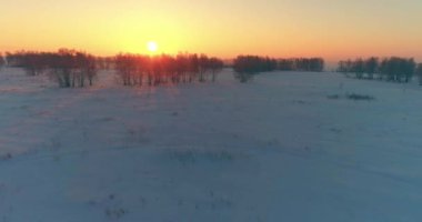 Arktik çayırlı soğuk kış manzarası, karla kaplı ağaçlar ve ufukta sabah güneşleri..