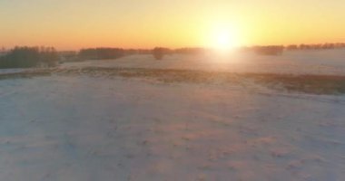 Arktik çayırlı soğuk kış manzarası, karla kaplı ağaçlar ve ufukta sabah güneşleri..