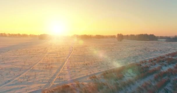 Veduta aerea drone del freddo paesaggio invernale con campo artico, alberi coperti di neve gelo e raggi del sole del mattino all'orizzonte. — Video Stock