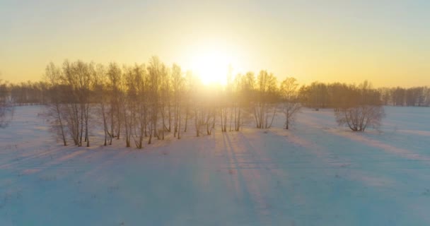 Veduta aerea drone del freddo paesaggio invernale con campo artico, alberi coperti di neve gelo e raggi del sole del mattino all'orizzonte. — Video Stock