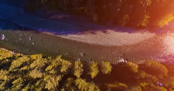 Vuelo en medio del aire sobre un río de montaña fresco y limpio en la soleada mañana de verano. Movimiento vertical — Vídeo de stock