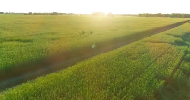 Vista aérea sobre el niño, que monta en bicicleta a través de un campo de hierba de trigo en el viejo camino rural. Luz solar y rayos. — Vídeo de stock