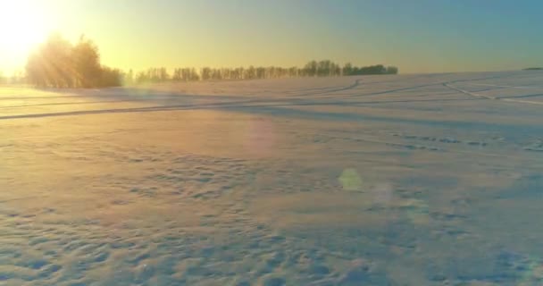 Flygdrönare syn på kallt vinterlandskap med arktiska fält, träd täckta med frost snö och morgonsol strålar över horisonten. — Stockvideo