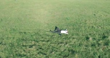 Yeşil çimlerin üzerinde sarı kırsal alanda not defteri olan bir adamın etrafında alçak yörünge uçuşları..
