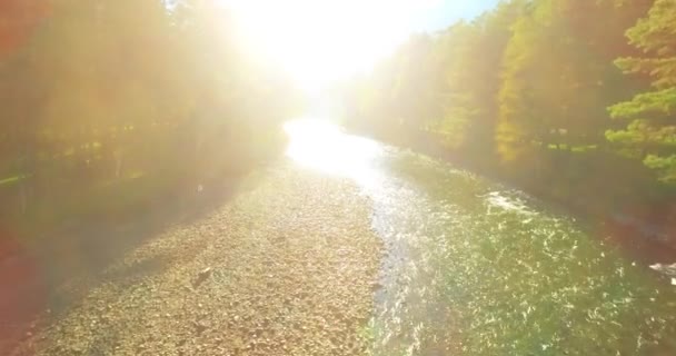 Voo de baixa altitude sobre o rio de montanha rápido fresco com rochas na manhã de verão ensolarada. — Vídeo de Stock