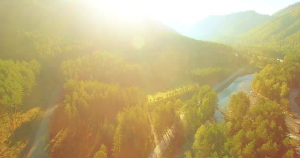 Vol à basse altitude au-dessus d'une rivière de montagne fraîche et rapide avec des rochers au soleil matin d'été. — Video