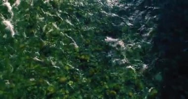 Güneşli yaz sabahında kayalarla birlikte taze, hızlı dağ nehri üzerinde alçak irtifa uçuşu..